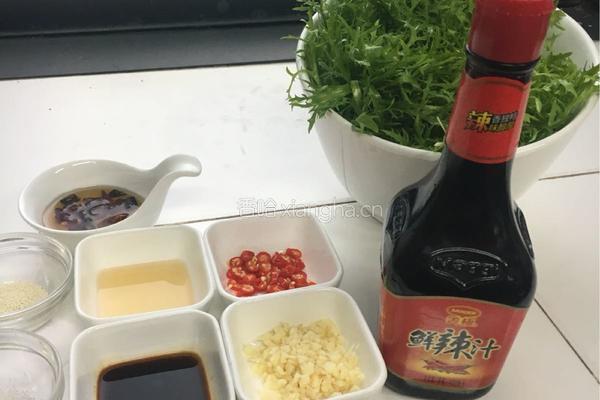 香香小苦菊的做法图解2