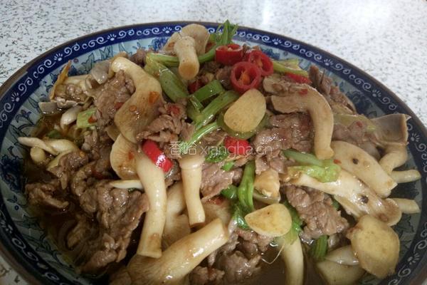双椒秀珍菇炒牛肉的做法图解6