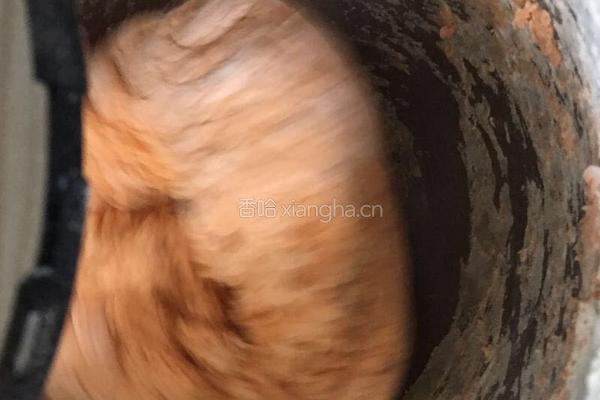 胡萝卜豆沙卷的做法图解4