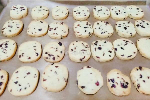 蔓越莓奶酪饼干的做法图解11