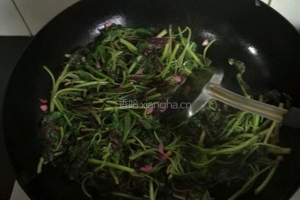 蒜末苋菜的做法图解6
