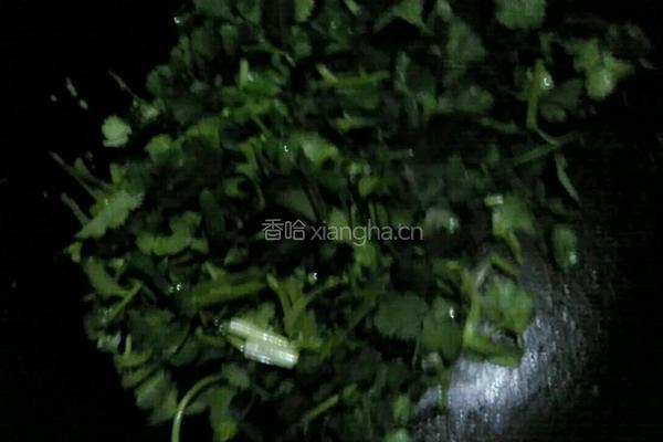 香菜炒鸡蛋的做法图解5