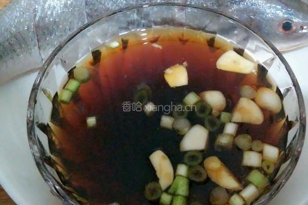 焖烧海鱼的做法图解5