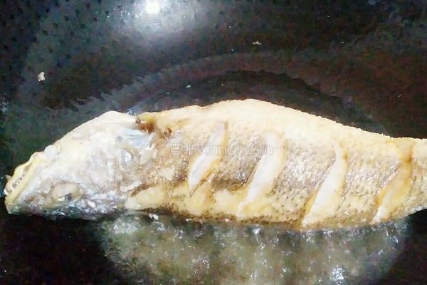 焖烧海鱼的做法图解6