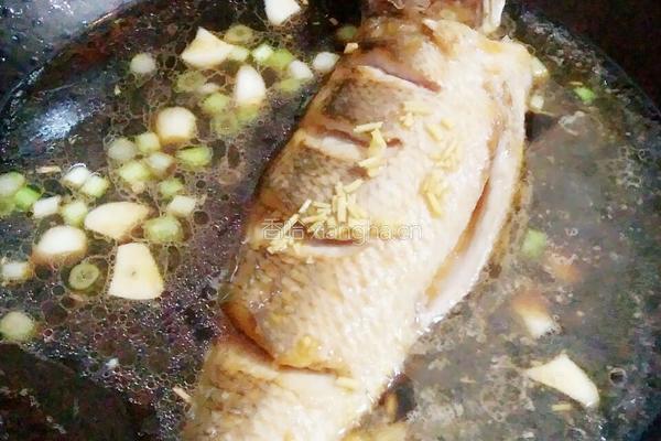 焖烧海鱼的做法图解7
