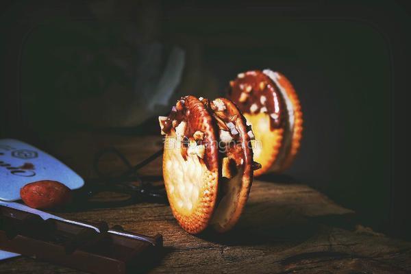 快手十分钟的 冰淇淋夹心饼干的做法图解14