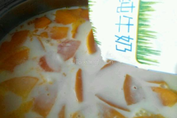 木瓜牛奶的做法图解5