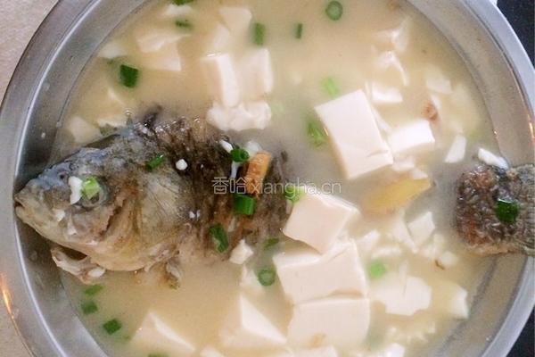 鲫鱼豆腐汤