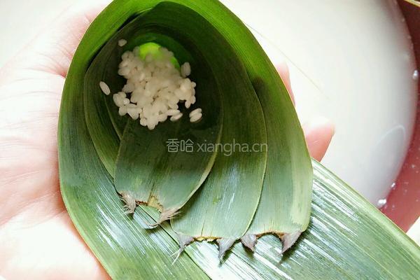 红枣包粽的做法图解3