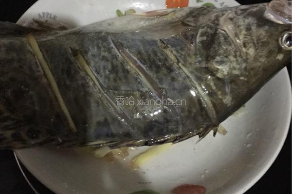 清蒸桂鱼的做法图解3