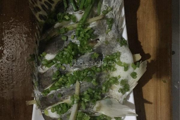 清蒸桂鱼的做法图解4