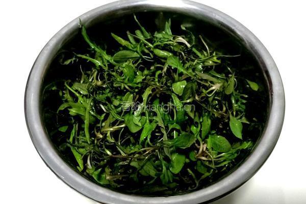 拌苦麻菜的做法图解1