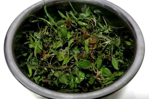 拌苦麻菜的做法图解3