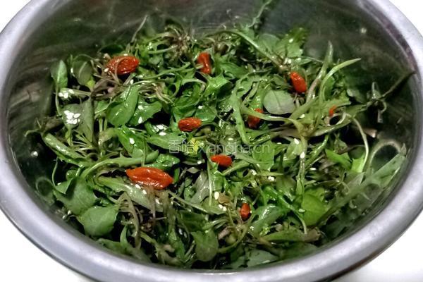 拌苦麻菜的做法图解5