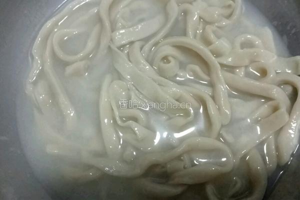 手擀炸酱面的做法图解8