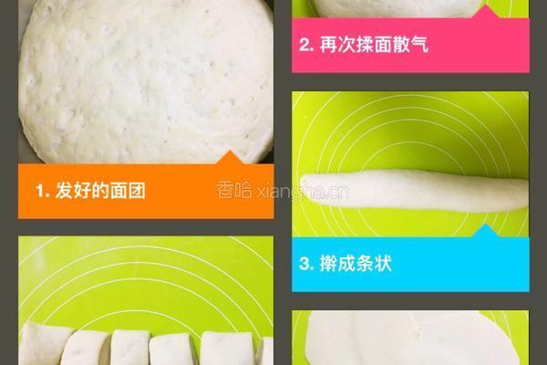 萝卜丝肉包的做法图解9