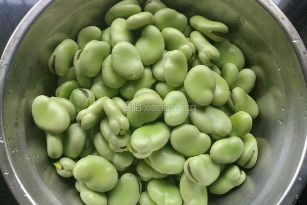 香肠咸菜炒蚕豆的做法图解2
