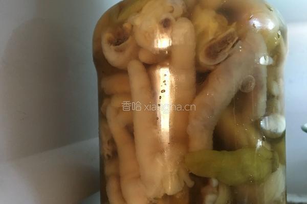 家常泡椒鸡爪的做法图解8