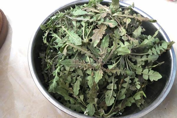 香菇荠菜饺子的做法图解1