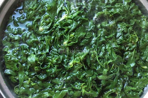 香菇荠菜饺子的做法图解2