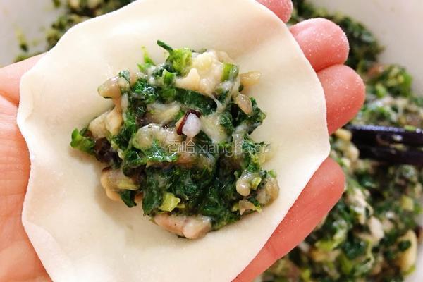 香菇荠菜饺子的做法图解9