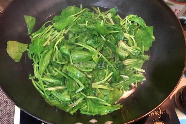白玉菇炒菠菜的做法图解3