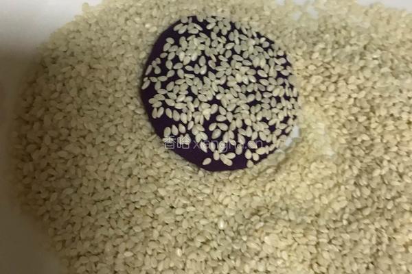 紫薯小饼的做法图解5