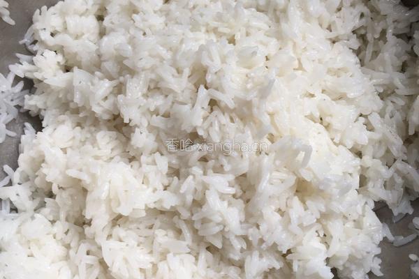杂粮米饭饼的做法图解4