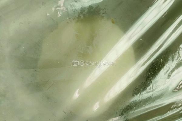 烫面包子的做法图解3
