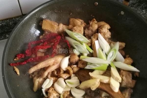 新疆大盘鸡的做法图解6