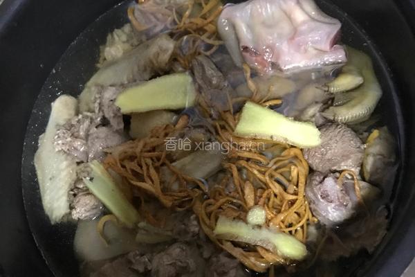 虫草花煲老鸭汤的做法图解7