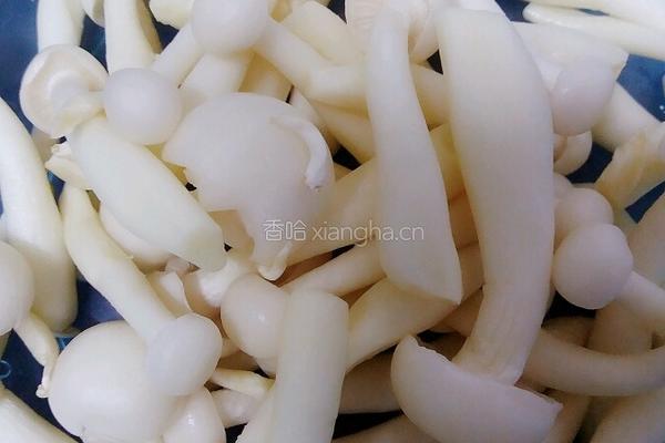 蚝油三菌菇的做法图解1