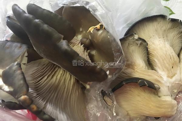 干炸平菇的做法图解1