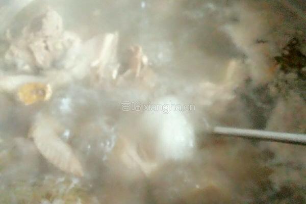 香菇炖老母鸡的做法图解4