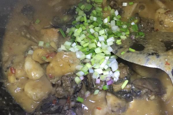 红烧芋儿鸡的做法图解8