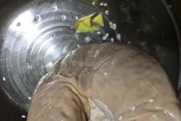 焖猪肚的做法图解5