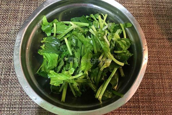 白玉菇炒菠菜的做法图解2