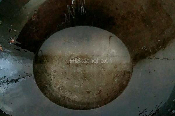 红油豆瓣酱炖青鱼块的做法图解3