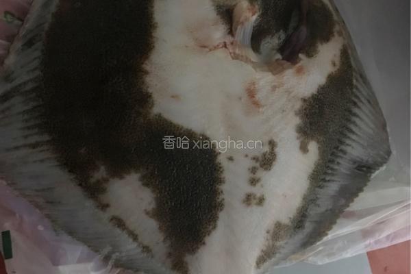 酱烧多宝鱼的做法图解3