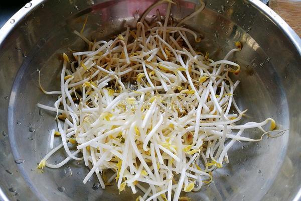 炒糖醋绿豆芽的做法图解2