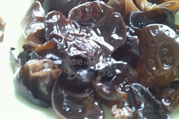 揪面片的做法图解3