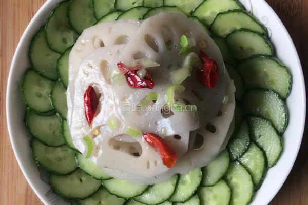 素拼黄瓜莲藕的做法图解6
