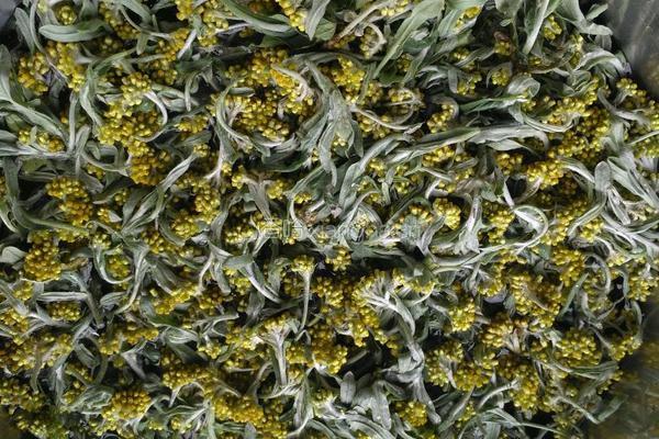 野菜糍粑的做法图解1