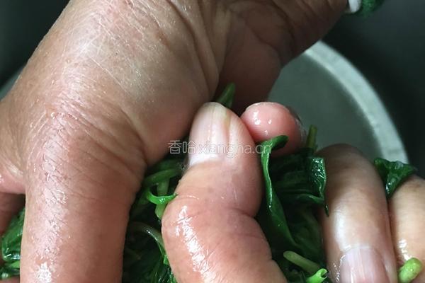 凉拌马兰头的做法图解5
