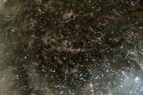 黑豆糖的做法图解1