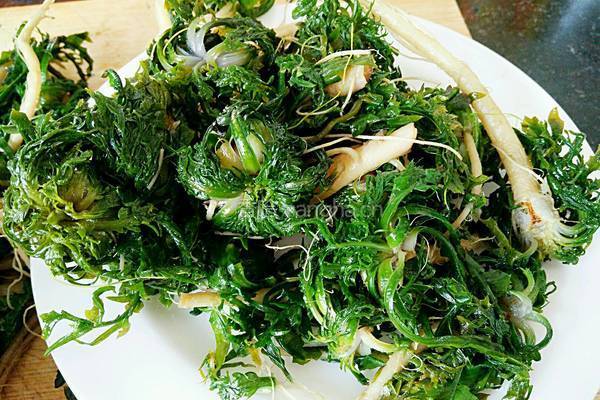 荠菜素饺子馅的做法图解1