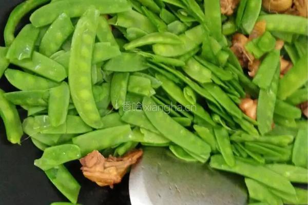 鸡炒荷兰豆的做法图解9