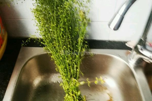 地菜花煮鸡蛋的做法图解1