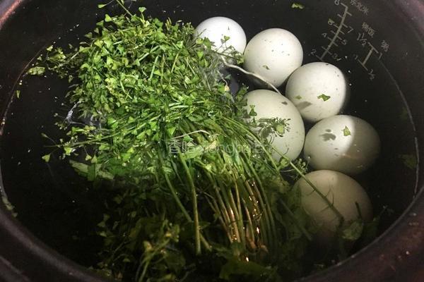 地菜煮鸡蛋的做法图解4