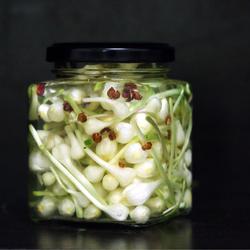 酸甜野葱的做法[图]